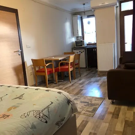 アパート Galata イスタンブール